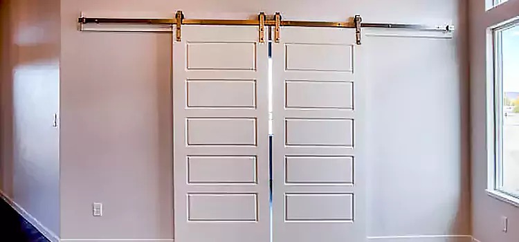 Glass Barn Door with Installation Hardware Kit Manteca